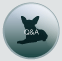 Q&A