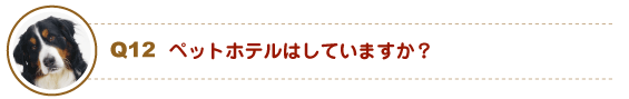 ペットホテルはしていますか?